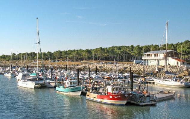 Les Charmilles - Photo 43