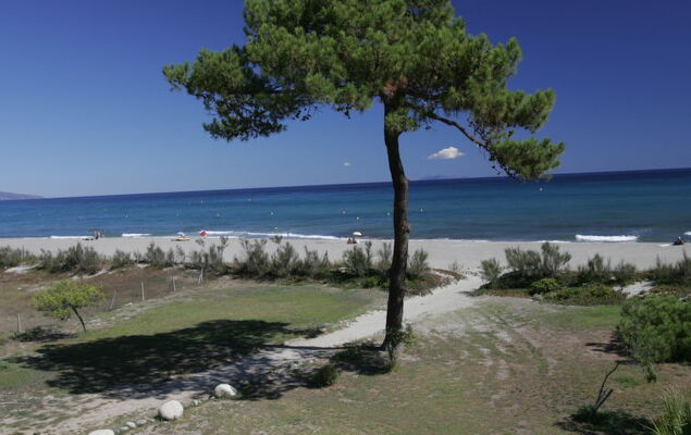 T3 Cabine - Photo 20