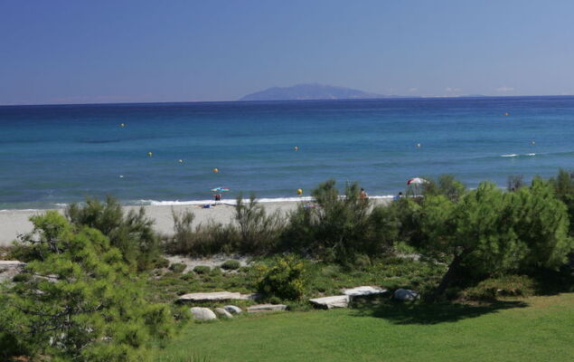 T2 Cabine Type C - Photo 18