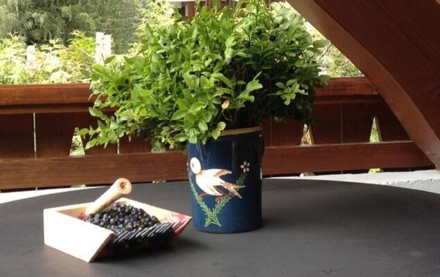 Village des Oursons Chalet A4 - Photo 5