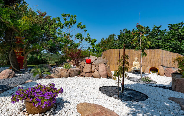 Campestra - Photo 21