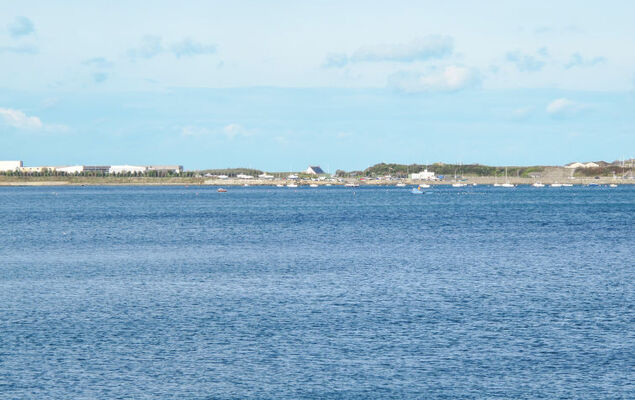 Les Oiseaux - Photo 19