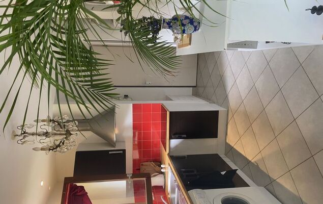 Les Coquelicots - Photo 11