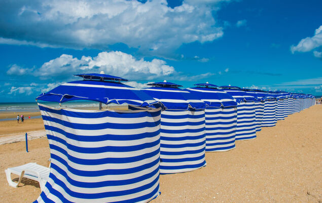 Cap Cabourg - Photo 19