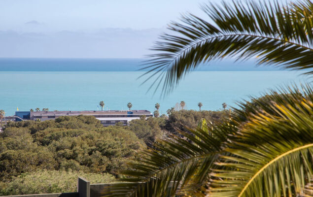 Les Coralines - Photo 15