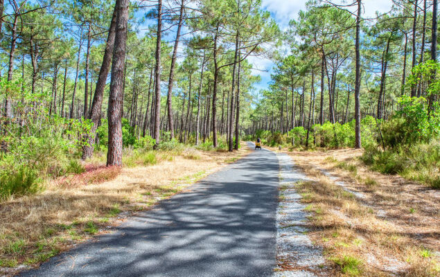 Club de la Voile - Photo 33