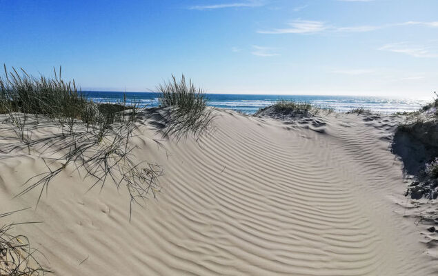 La Trélennoise - Photo 24