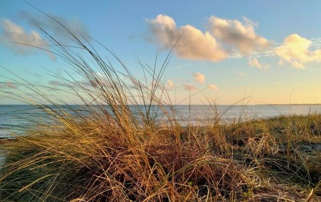 La Trélennoise - Photo 29
