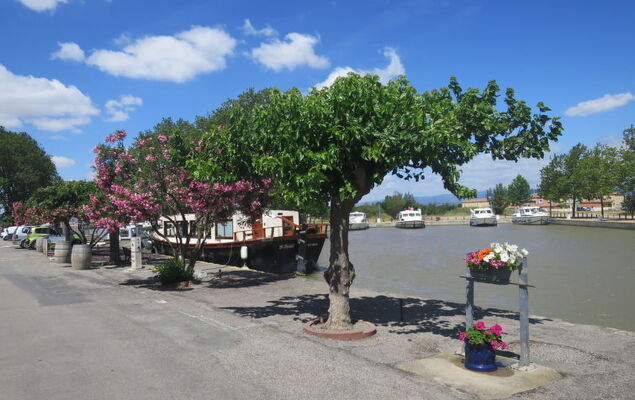 Château de Jouarres - Photo 24