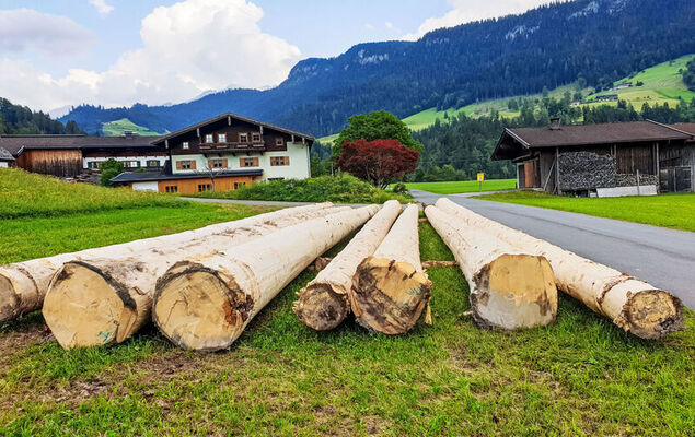 Weissbachergut - Photo 6