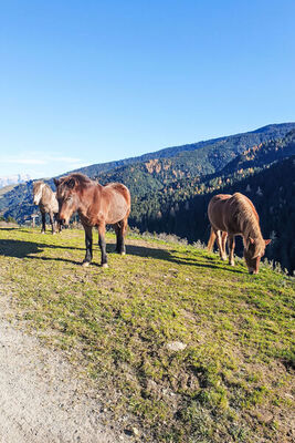 Weissbachergut - Photo 34