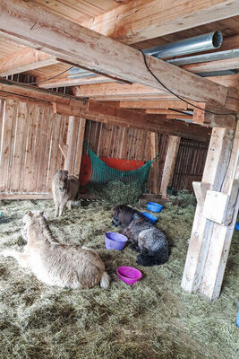 Weissbachergut - Photo 37