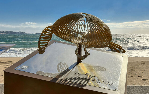 Le Méditerranée - Photo 27