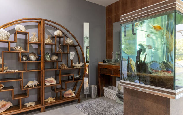 Un petit coin de paradis - Photo 4