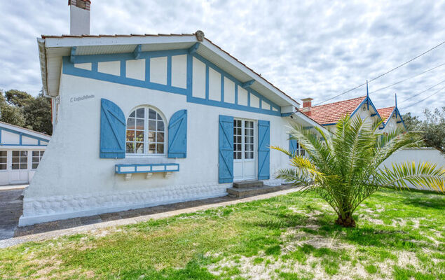 Petite Ensouleihado - Photo 18