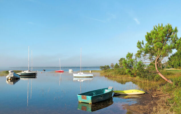 Les Landaises - Photo 34