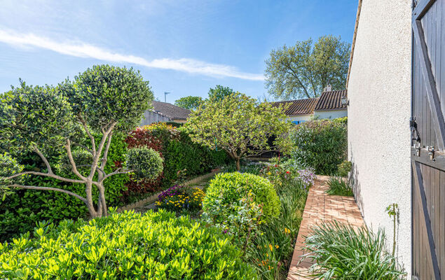 La maison du carignan - Photo 20