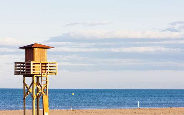 La maison du carignan - Photo 27