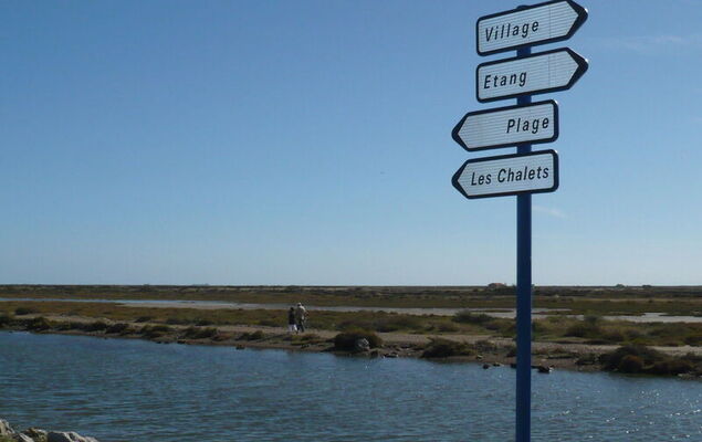 Les Occitanes - Photo 20