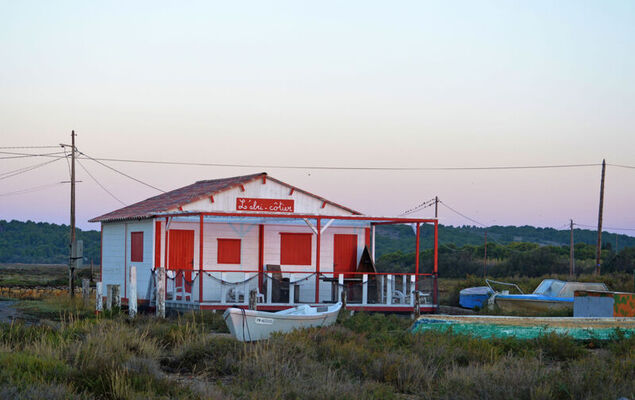 Les Occitanes - Photo 29