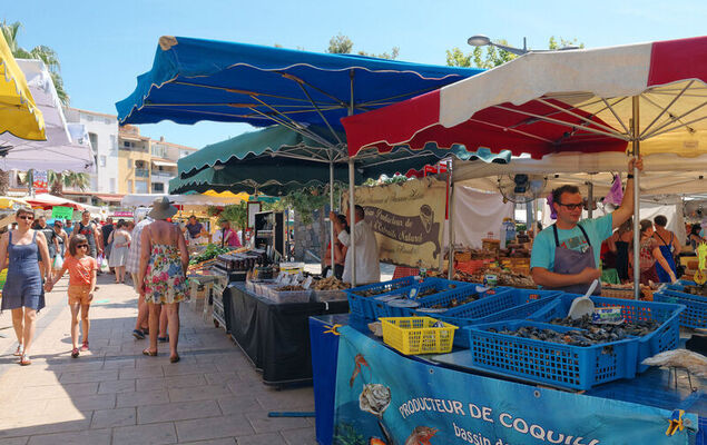 Les Captivantes II - Photo 24