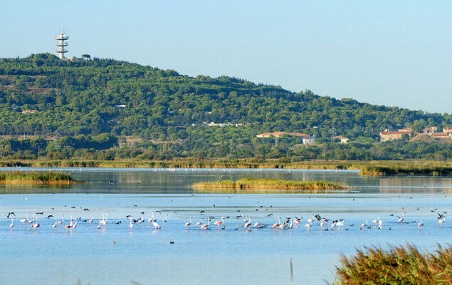 Les Captivantes II - Photo 25