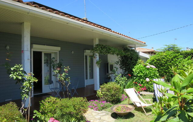 Mandarine - Photo 15