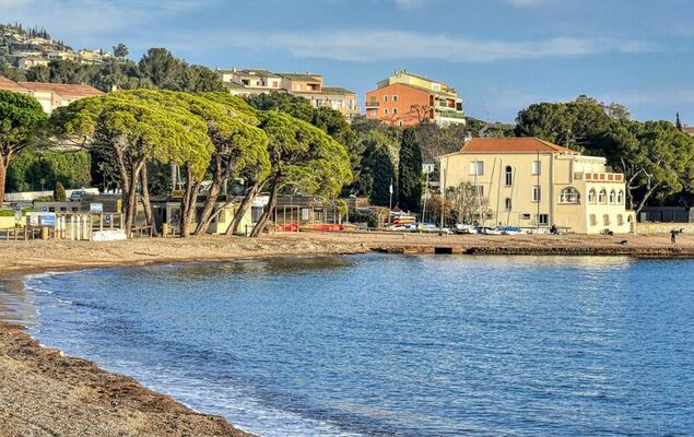 Les Coraux - Photo 24