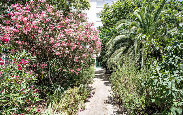 La petite Réal - Photo 16