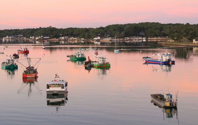 Le Voulien - Photo 20