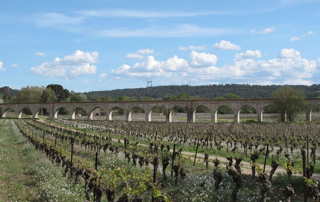 Château de Jouarres - Photo 30