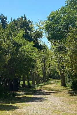 Château de Jouarres - Photo 15