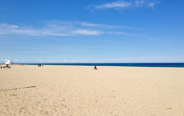 Santa Maria - Photo 29