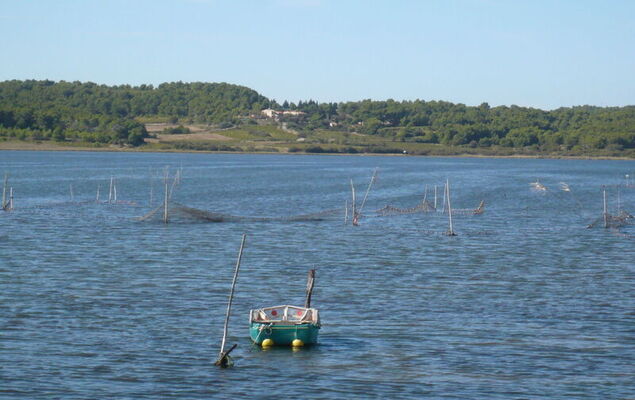 Les Portes de la Plage - Photo 26