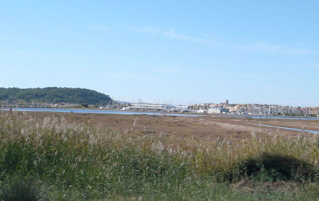 Les Portes de la Plage - Photo 28