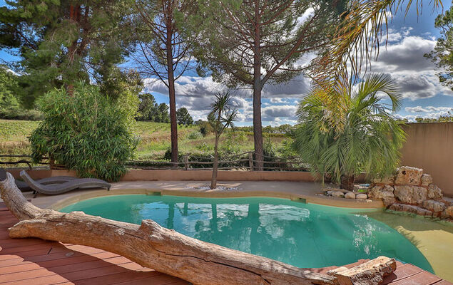 La pinède - Photo 3