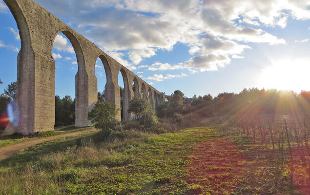 La pinède - Photo 19