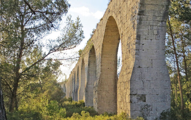 La pinède - Photo 20