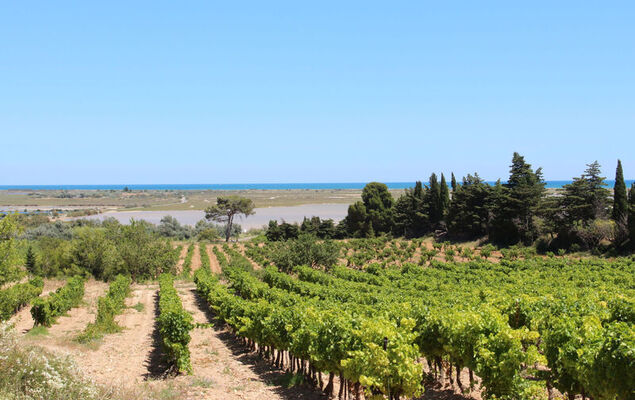 Les Hauts d'Azur - Photo 35