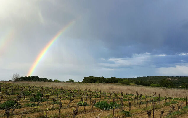 Les Hauts d'Azur - Photo 37