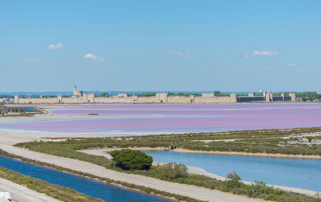 Les Lauriers - Photo 25