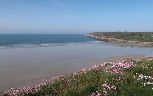 Penty Landromiou - Photo 26