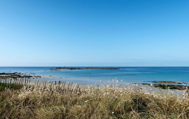 La mouette bleue - Photo 24