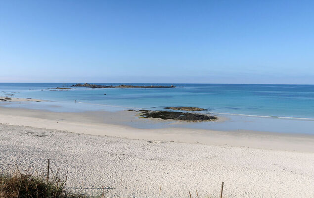 La mouette bleue - Photo 25