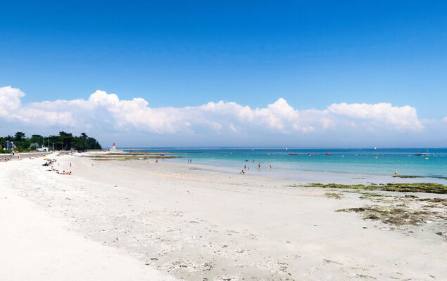 La mouette bleue - Photo 29