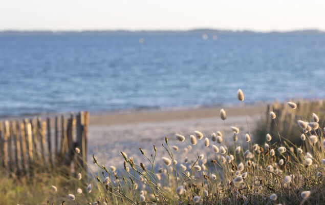 La Spatule - Photo 28