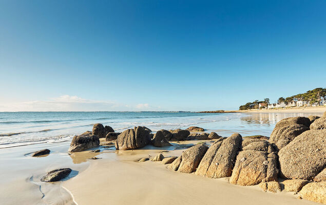 La Spatule - Photo 31