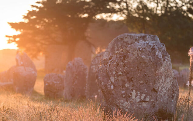 La Spatule - Photo 33