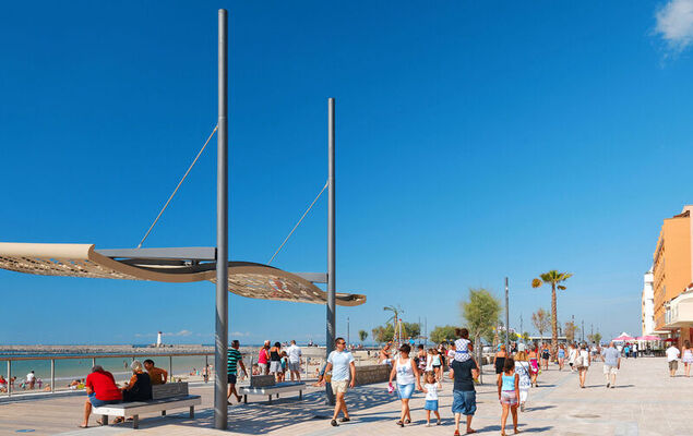 La Palme d'Or - Photo 19