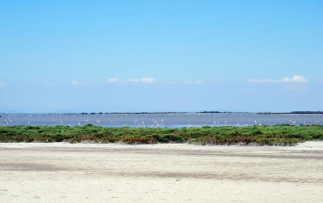 Camargue Village - Photo 15
